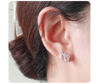 Silver Stud Earring STS-5798